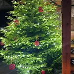 Dom Pod Lipa Casa vacanze Szklarska Poręba